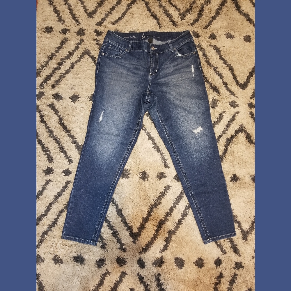 Lane Bryant Skinny Genius Fit Jeans - Size 14
